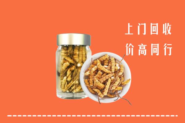 玉溪市红塔回收冬虫夏草