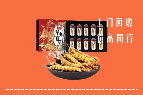 玉溪市红塔回收虫草